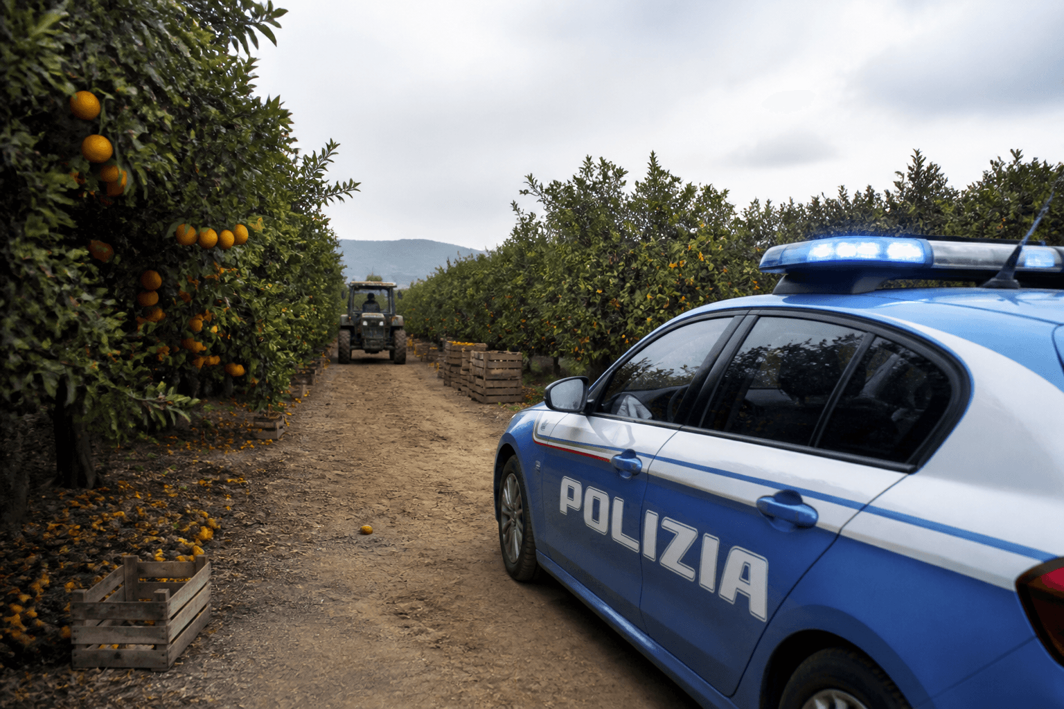 Caporalato nella raccolta arance, 4 misure cautelari a Enna